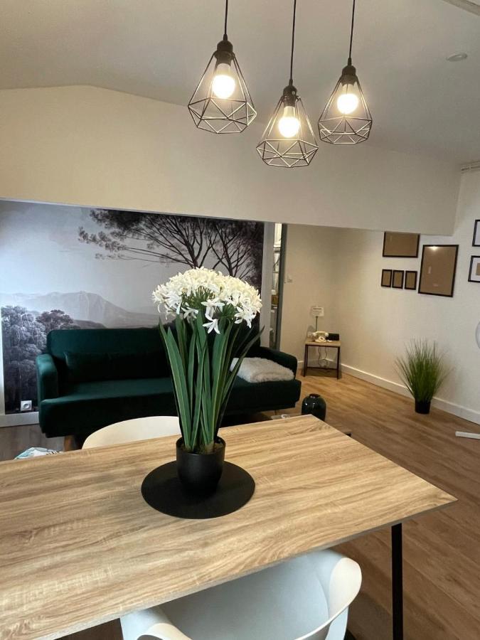 Magnifique Appartement Au Coeur De La Ville เบซิเยร์ ภายนอก รูปภาพ